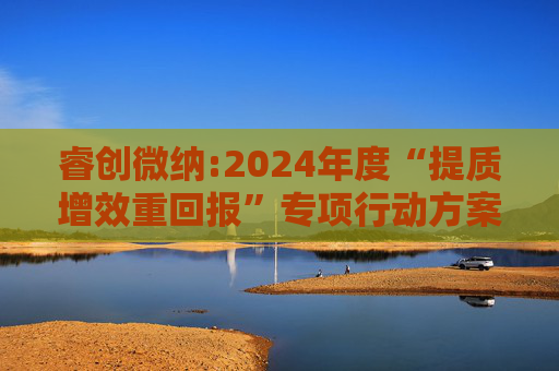 睿创微纳:2024年度“提质增效重回报”专项行动方案的评估报告暨2025年度“提质增效重回报”专项行动方案