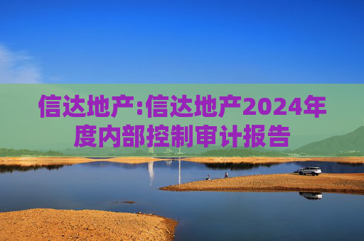 信达地产:信达地产2024年度内部控制审计报告  第1张
