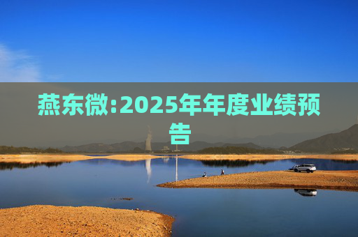 燕东微:2025年年度业绩预告