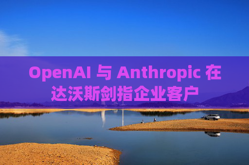OpenAI 与 Anthropic 在达沃斯剑指企业客户