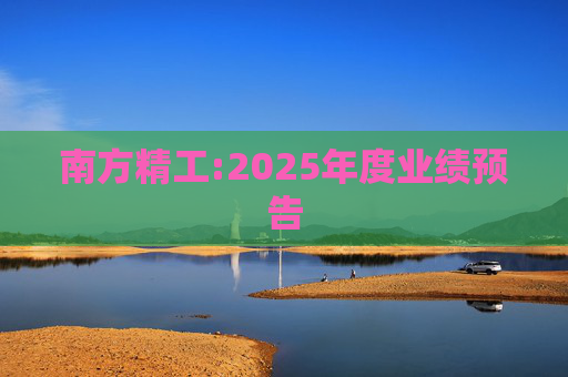 南方精工:2025年度业绩预告