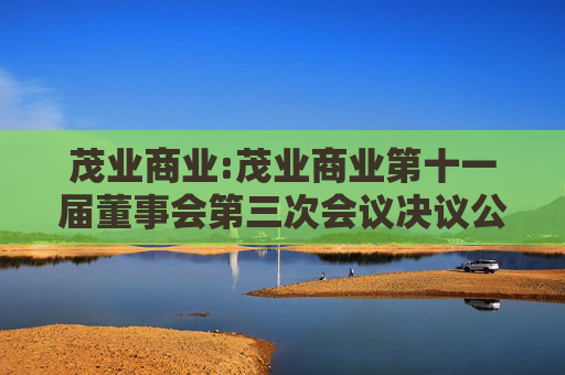 茂业商业:茂业商业第十一届董事会第三次会议决议公告