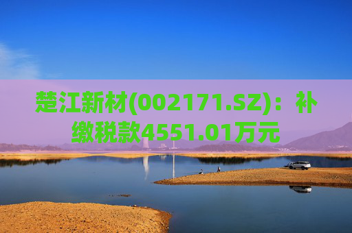 楚江新材(002171.SZ)：补缴税款4551.01万元