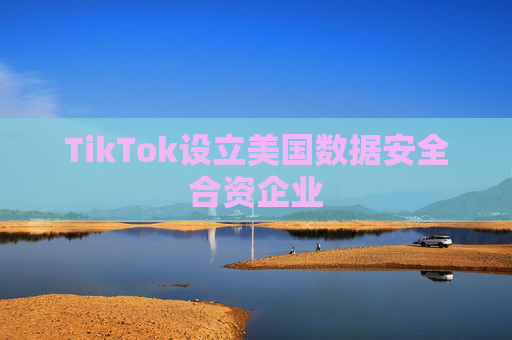 TikTok设立美国数据安全合资企业