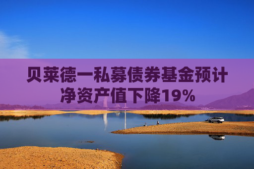 贝莱德一私募债券基金预计净资产值下降19%  第1张