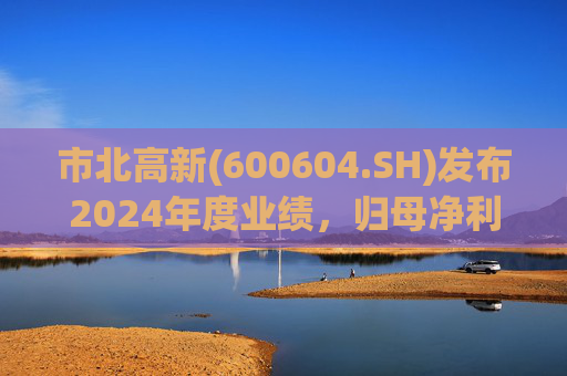 市北高新(600604.SH)发布2024年度业绩，归母净利润3053万元，同比扭亏为盈  第1张