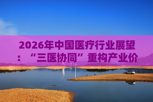 2026年中国医疗行业展望：“三医协同”重构产业价值链