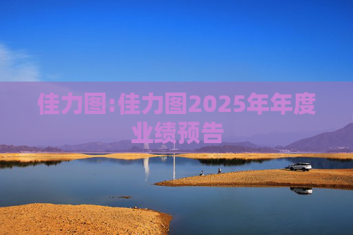 佳力图:佳力图2025年年度业绩预告