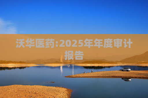 沃华医药:2025年年度审计报告