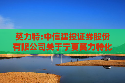 英力特:中信建投证券股份有限公司关于宁夏英力特化工股份有限公司2025年持续督导定期现场检查报告