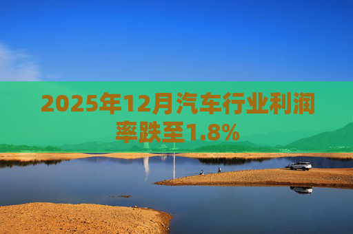 2025年12月汽车行业利润率跌至1.8%