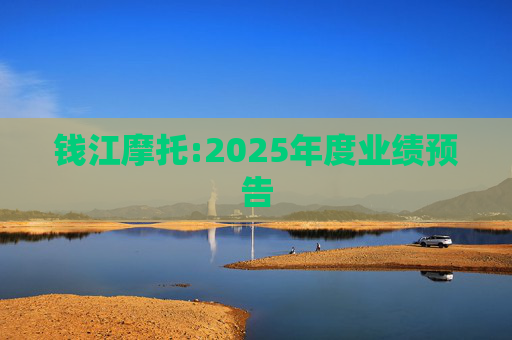 钱江摩托:2025年度业绩预告
