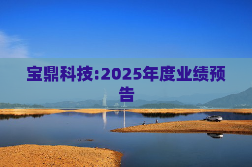 宝鼎科技:2025年度业绩预告  第1张