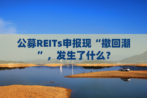 公募REITs申报现“撤回潮”，发生了什么？