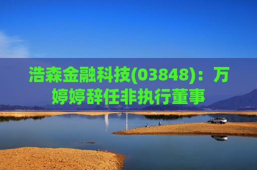 浩森金融科技(03848)：万婷婷辞任非执行董事