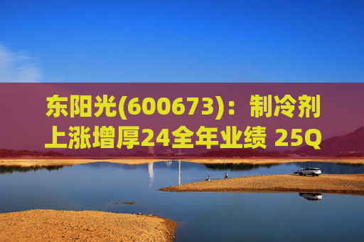 东阳光(600673)：制冷剂上涨增厚24全年业绩 25Q1业绩略超预期 液冷与具身智能共创未来