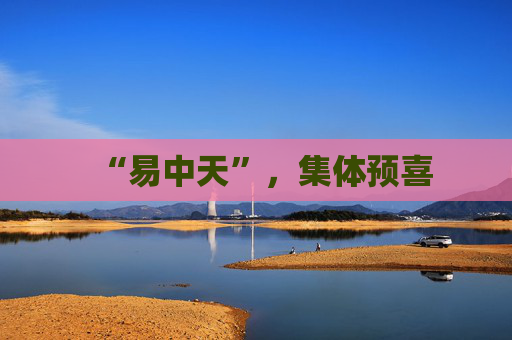 “易中天”,集体预喜