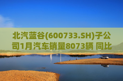 北汽蓝谷(600733.SH)子公司1月汽车销量8073辆 同比增长11.83%