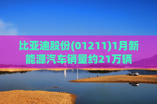 比亚迪股份(01211)1月新能源汽车销量约21万辆