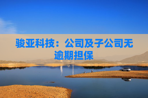骏亚科技：公司及子公司无逾期担保