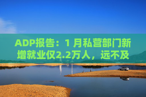 ADP报告：1 月私营部门新增就业仅2.2万人，远不及预期