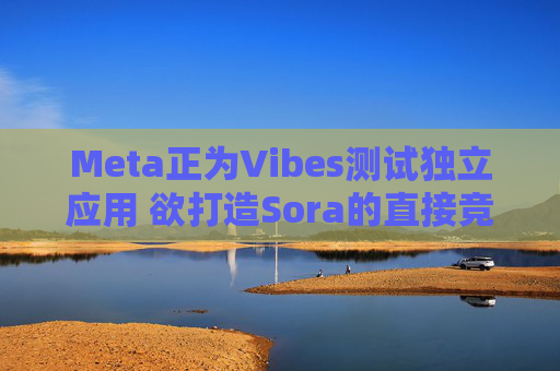 Meta正为Vibes测试独立应用 欲打造Sora的直接竞品