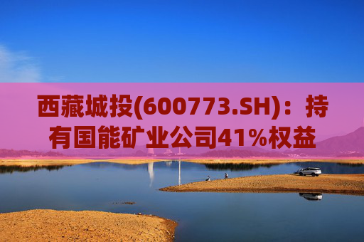 西藏城投(600773.SH)：持有国能矿业公司41%权益