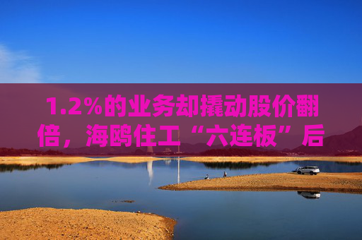 1.2%的业务却撬动股价翻倍，海鸥住工“六连板”后跌停，在越建厂能否扛住关税冲击？  第1张