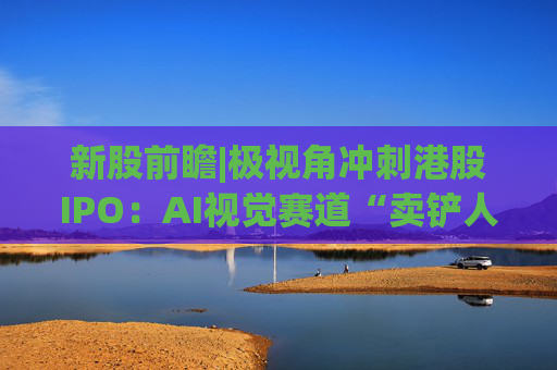 新股前瞻|极视角冲刺港股IPO：AI视觉赛道“卖铲人”潜力可期，盈利波动困境难解