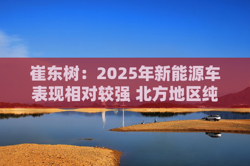 崔东树：2025年新能源车表现相对较强 北方地区纯电动占比提升明显
