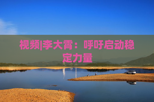 视频|李大霄：呼吁启动稳定力量  第1张