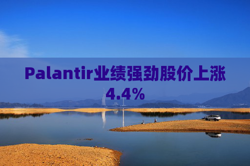 Palantir业绩强劲股价上涨4.4%  第1张