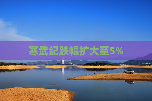 寒武纪跌幅扩大至5%
