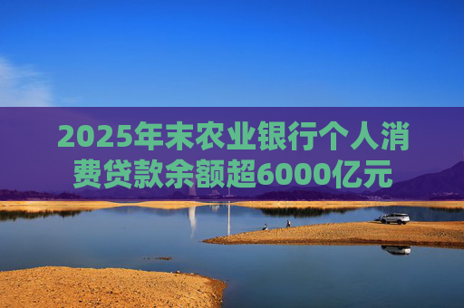 2025年末农业银行个人消费贷款余额超6000亿元