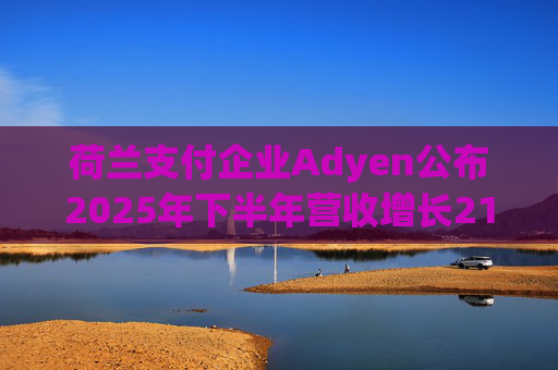 荷兰支付企业Adyen公布2025年下半年营收增长21%  第1张