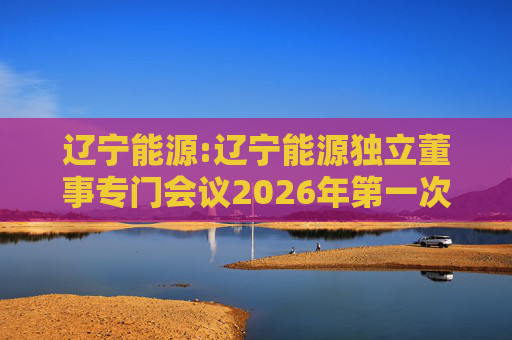 辽宁能源:辽宁能源独立董事专门会议2026年第一次会议决议