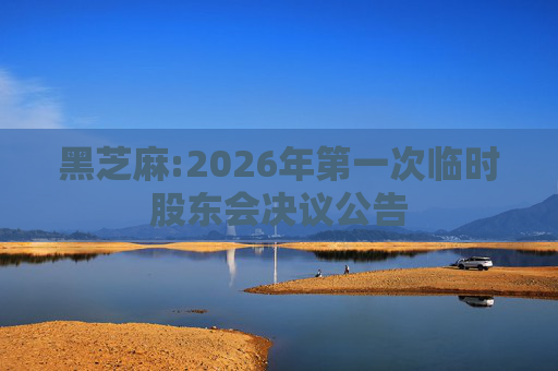 黑芝麻:2026年第一次临时股东会决议公告