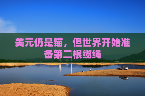 美元仍是锚，但世界开始准备第二根缆绳