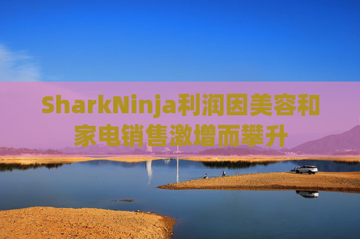 SharkNinja利润因美容和家电销售激增而攀升