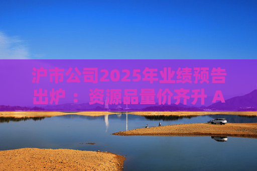沪市公司2025年业绩预告出炉 ：资源品量价齐升 AI链景气延续