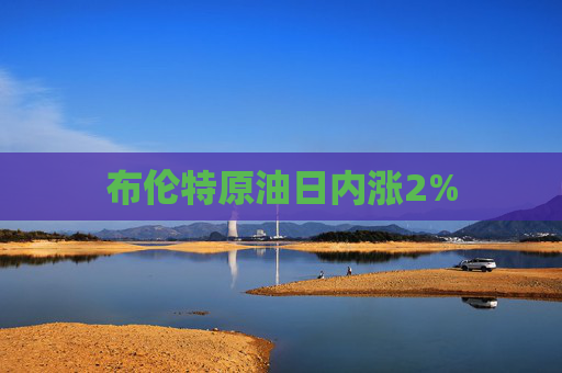 布伦特原油日内涨2%
