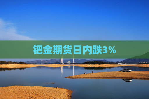 钯金期货日内跌3%