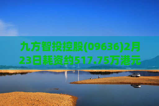 九方智投控股(09636)2月23日耗资约517.75万港元回购13.3万股