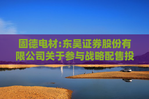 固德电材:东吴证券股份有限公司关于参与战略配售投资者的专项核查报告