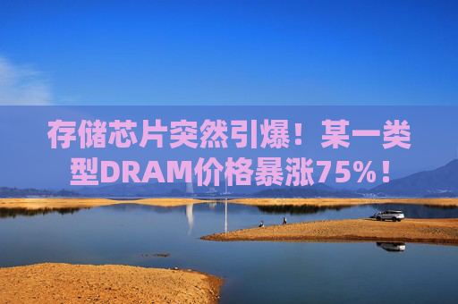存储芯片突然引爆！某一类型DRAM价格暴涨75%！