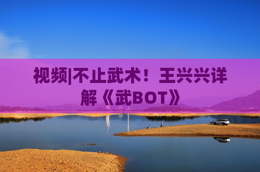 视频|不止武术!王兴兴详解《武BOT》