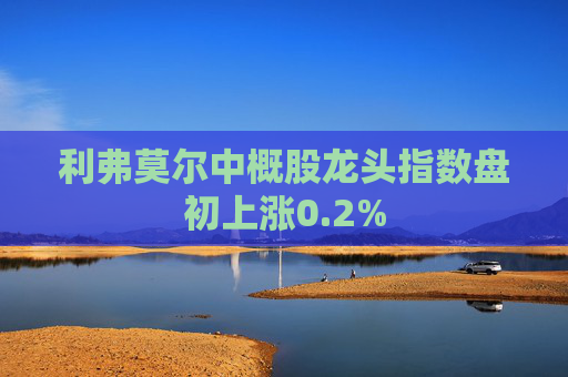 利弗莫尔中概股龙头指数盘初上涨0.2%  第1张