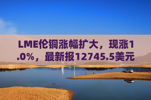 LME伦铜涨幅扩大，现涨1.0%，最新报12745.5美元/吨