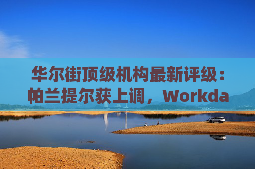 华尔街顶级机构最新评级：帕兰提尔获上调，Workday遭下调