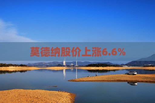 莫德纳股价上涨6.6%